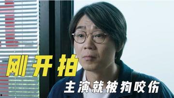 娱乐吃瓜君可怜,揭秘娱乐圈背后的可怜真相