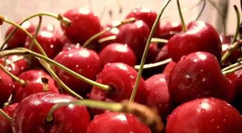 娱乐吃瓜酱樱桃,娱乐吃瓜酱的甜蜜瓜界风云录