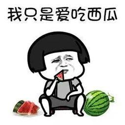 娱乐圈这么多瓜怎么吃