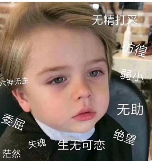 微信吃瓜表情包图片大全,趣味横生的网络文化盛宴