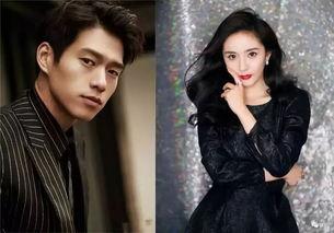 娱乐吃瓜女星牺牲小说,瓜田里的明星泪