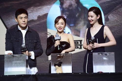 吃瓜娱乐圈女星合集,揭秘当红女星幕后故事