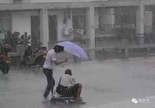 娱乐吃瓜酱爷爷撑伞