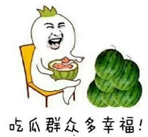 吃瓜娱乐人,品味人生百态